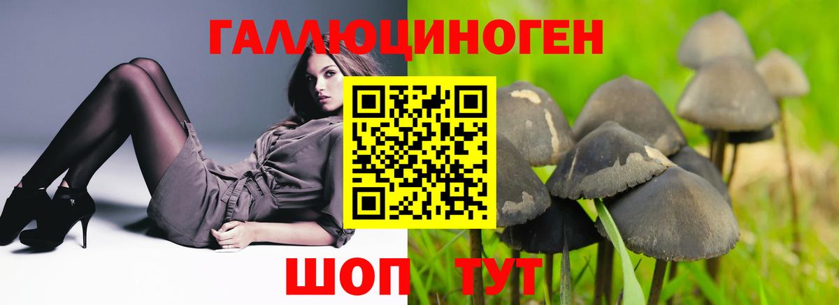 Клин  Галлюциногенные грибы MAGIC MUSHROOMS  Вход с VPN 